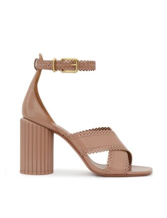 Eddie Sandal 85 Biscuit Online